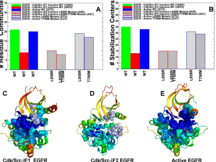 Figure 9. Community Analysis of the EGFR Kinase. The distribution of residue interaction communities (A) and stabilization centers (B) in different functional states of the EGFR kinase