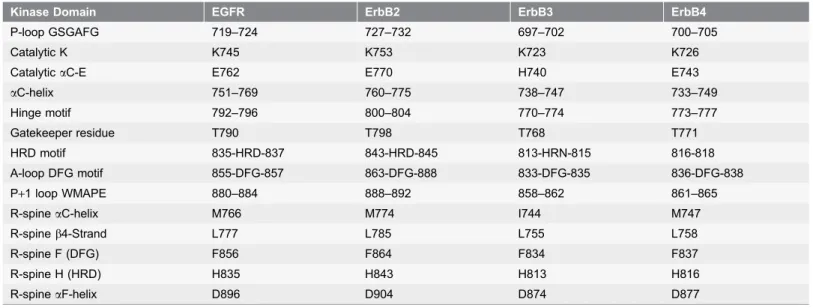 Table 1. The Functional Regions of the ErbB Kinases.