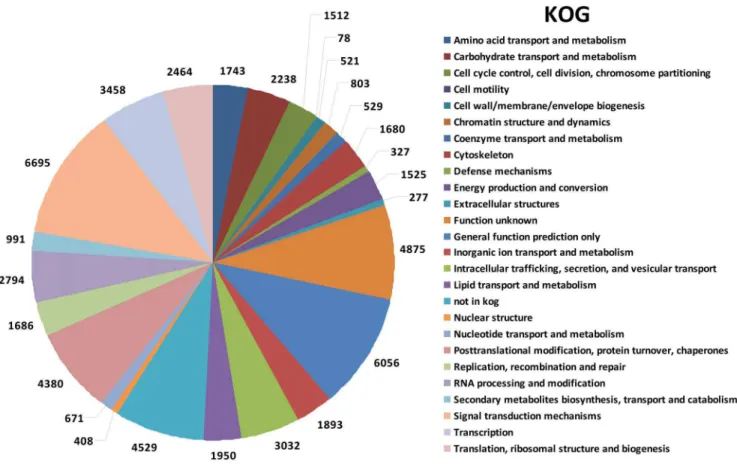 Figure 3. Proportion of S. alfredii Hance (HE) contigs in different functional categories