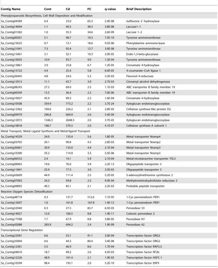 Table 1. Expression levels of Cd up-regulated contigs in HE shoots.