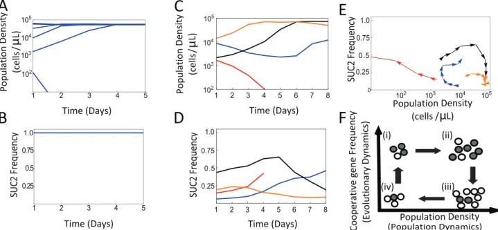 Figure 1. Population dynamics in the presence and the absence of evolutionary dynamics