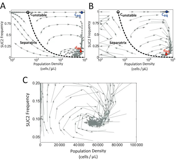Figure 2. Visualization of eco-evolutionary trajectories. (A) Simulation of the eco-evolutionary growth model (see Figure S1 and Text S1) over successive growth-dilution cycles