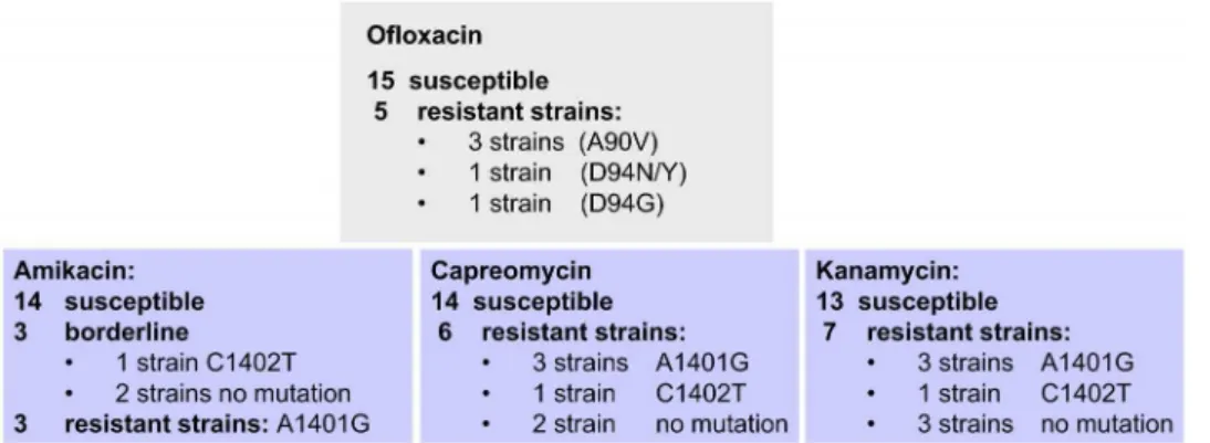 Figure 1. Compilation of strains in round 1 of the WP3 of the TB PAN-NET’’ project.