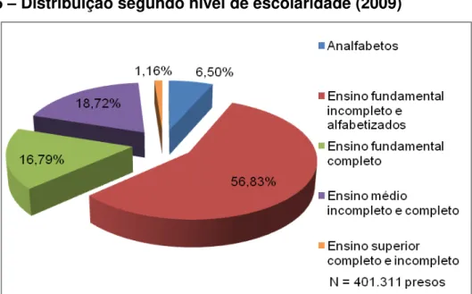 Gráfico 5  –  Distribuição segundo nível de escolaridade (2009) 