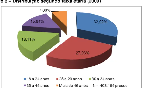 Gráfico 6  –  Distribuição segundo faixa etária (2009) 