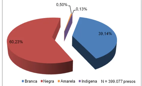 Gráfico 7  –  Distribuição segundo a raça/cor de pele da população interna  (2009) 