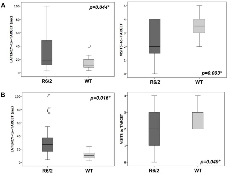 Figure 2. Barnes maze test in 6-week-old R6/2 and WT mice. Latency to reach the virtually target hole and numbers of pokes in the target hole were measured on day 5 (A) and day 12 (B)