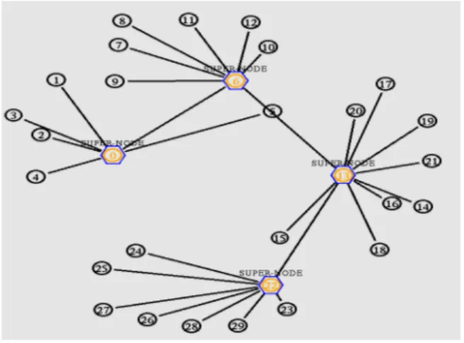 Fig. 1: Different rings (group of nodes) with their super  node 