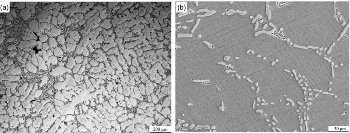 Fig. 8: Microstructure of A356 modified by Sr: (a) morphologies of primary grains, (b) morphology of eutectic  Si phase