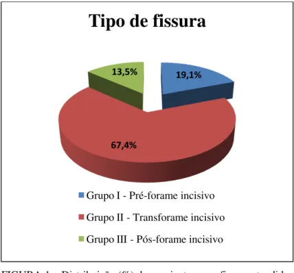 FIGURA 1 – Distribuição (%) dos pacientes com fissura atendidos  no NAPADF entre 1996-2010 por grupo de fissura (I II e III) 