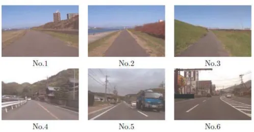 Figure 6: Real Image Sequences 