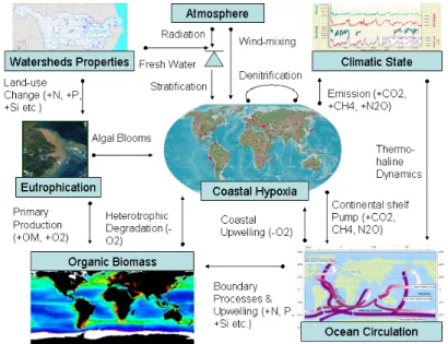 Fig. 4. Schematic view of hypoxia in the global coastal ocean, in which critical mechanisms and state of availability of nutrients, coastal hypoxia, marine primary productivity, and effect of climate change are highlighted
