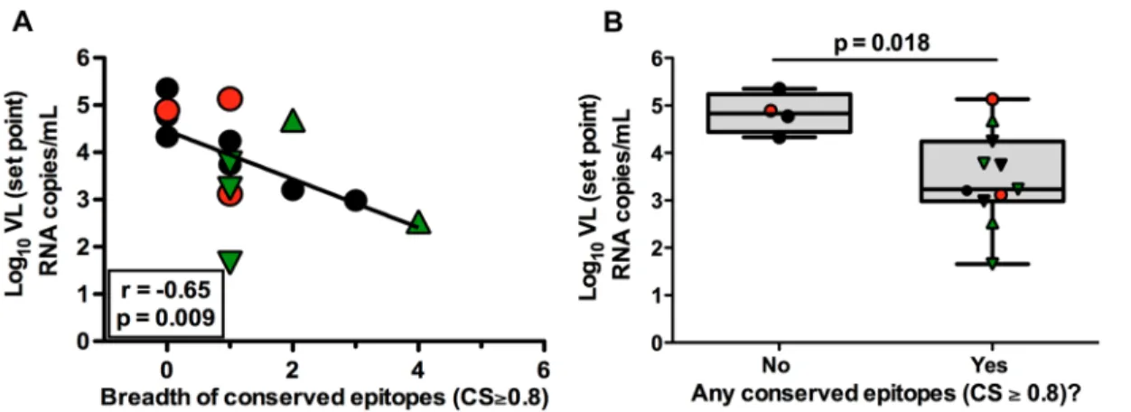 Figure 2. CD8 + T cell responses against conserved epitopes (bCSp) are associated with viral control
