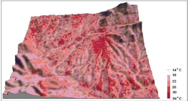 Fig. 7: Surface temperature characteristics in relation to DEM of the area 