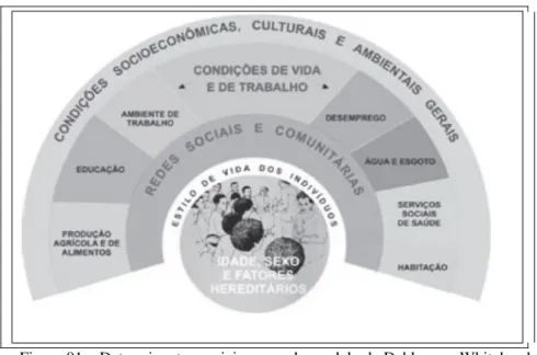 Figura 01   Determinantes sociais, segundo modelo de Dahlgren e Whitehead. 