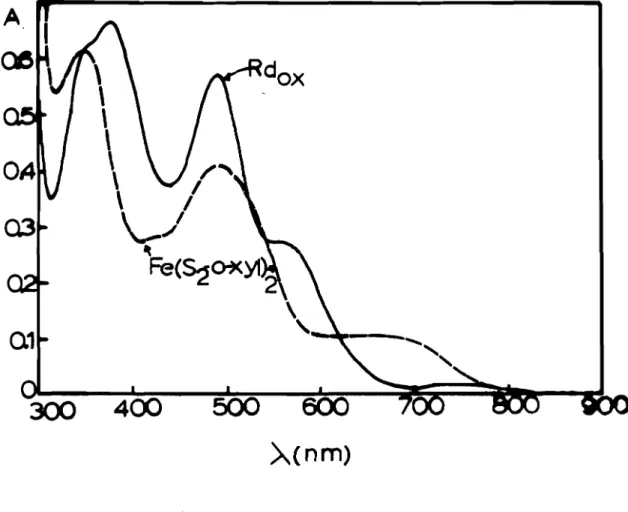 Figura 111.5 - Espectro óptico da rubredoxina de E.pasteurianum ( - ) ; Fe (S2-o-·xyl) 2 em 80% DMSO-H2 0 (----)