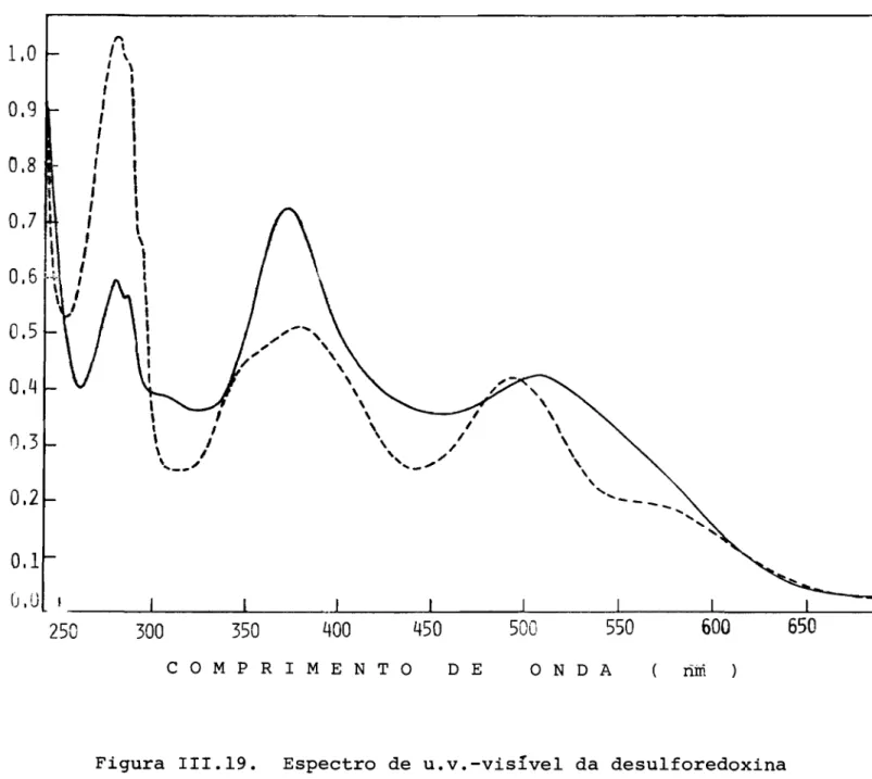 Figura 111.19. Espectro de u.v.-visíve1 da desu1foredoxina de D. gigas (--) e rubredoxina de D