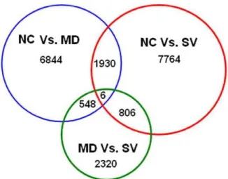 Table 3. Involvement of differentially expressed genes in predicted pathways by KEGG enrichment analysis.