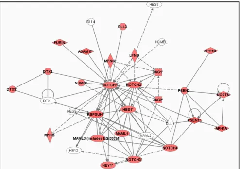 Figure 1: Overall expression of the Notch Signaling Pathway in the MSC sample cultured in AS and analyzed by Affymetrix 
