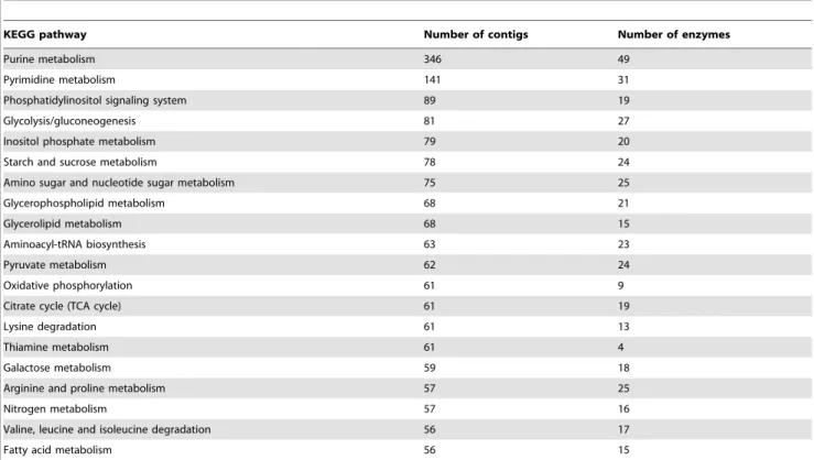 Table 4. Top 20 predicted KEGG pathways in the Frankliniella occidentalis sialotranscriptome.
