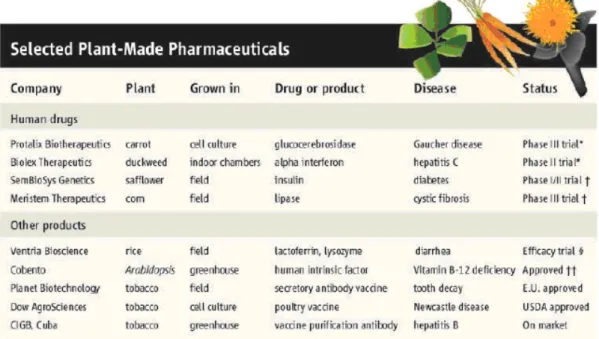 Tabela 1: Alguns exemplos de produtos farmacêuticos produzidos em plantas (Kaiser, 2008) 