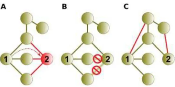 Figure 2. He and Zhang [6] illustrate the presence of neofunctionalization through interaction data analysis
