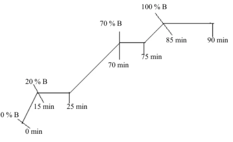 Figura 2.16: Gradiente de mistura dos dois eluentes da fase móvel (método longo de HPLC).