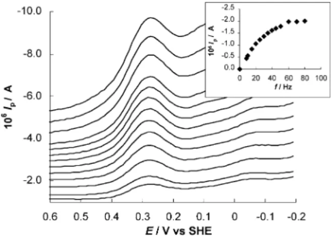 Fig. 2. Square wave voltammograms of 100 mM cytochrome c 552 at the membrane GCE in 10 mM Tris chloride buffer solution (pH 7.6).