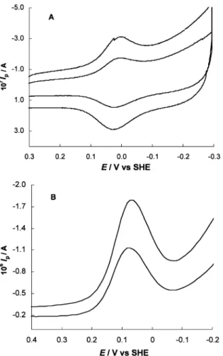 Fig. 3. Cyclic voltammograms (A) and square wave voltammograms (B) of 110 mM cytochrome c 553 at the MAuE in 10 mM Tris chloride buffer (pH 7.6)
