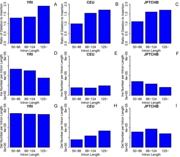 Table 1. RDI (DAF,0.1) in different intron size intervals from combined datasets of the three populations.