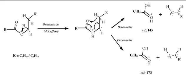 Figura  2.2.4    Esquema  de  fragmentação  proposto  para  os  ésteres  longos  dos  ácidos  octanóico e decanóico
