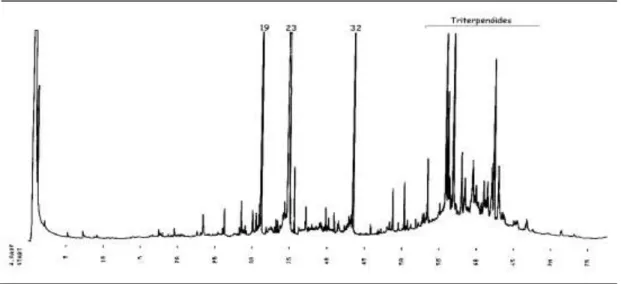 Figura 2.1.1 Cromatograma HRGC do extracto em natureza, da fracção neutra (fracção VI) dos  frutos de Arbutus unedo