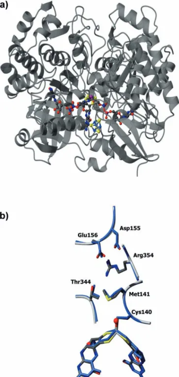 Fig. 3 (a) Overall structure of D. desulfuricans NapA. The Mo-bis- Mo-bis-MGD and FeS cluster are represented as color-coded  balls-and-sticks