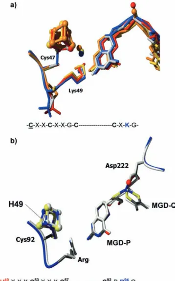 Fig. 6 Electron transfer pathways in the catalytic subunits of Nap, Fdh, and Nar. (a) Superposition of the molybdopterin and Fe/S cluster of all the structures of Nap and Fdh available