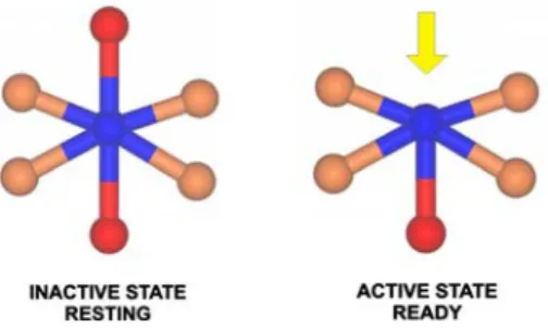 Fig. 1 Schematic representation of a catalytic site in an inactive state and an active state