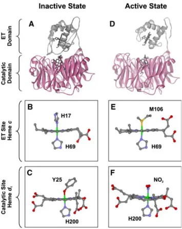 Fig. 8 a View of [Ni–Fe]-hydrogenase from Desulfomicrobium baculatum, with the large subunit shown in pink and the small subunit in gray