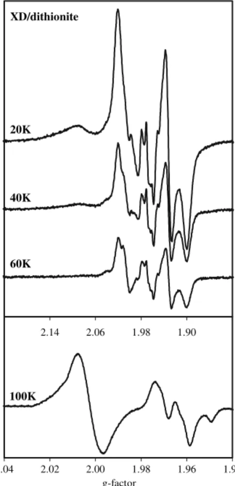 Fig. 4 Electron paramagnetic resonance (EPR) spectra of the dithionite-reduced XD form of rat liver XOR