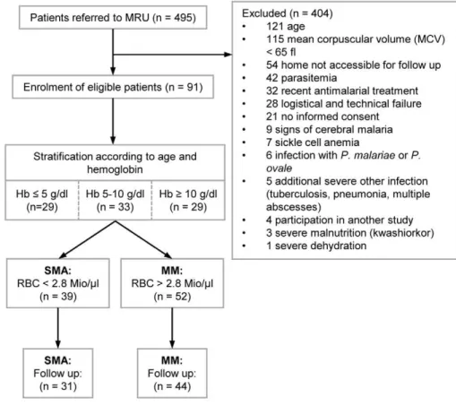 Figure 1. Study-flow chart.