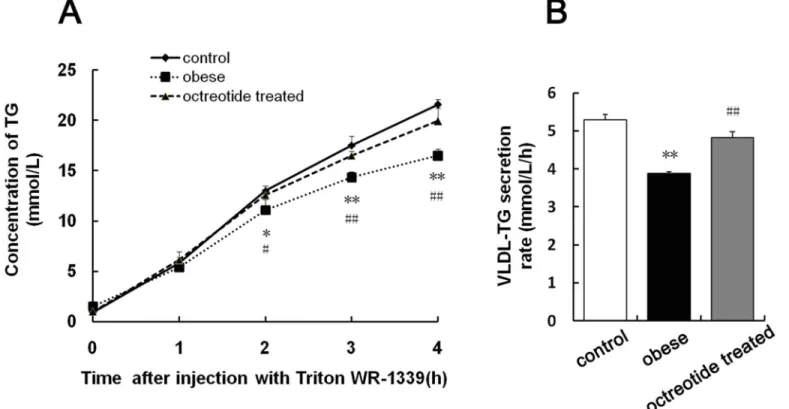 Fig 4. Hepatic secretion of VLDL-triglycerides in fasting rats after i.v. administration of Triton WR-1339