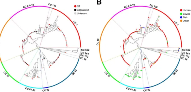 Fig 2B displays the same SNP-based tree as in Figs 1A and 2A, but highlighting each GBS strain according to its host species
