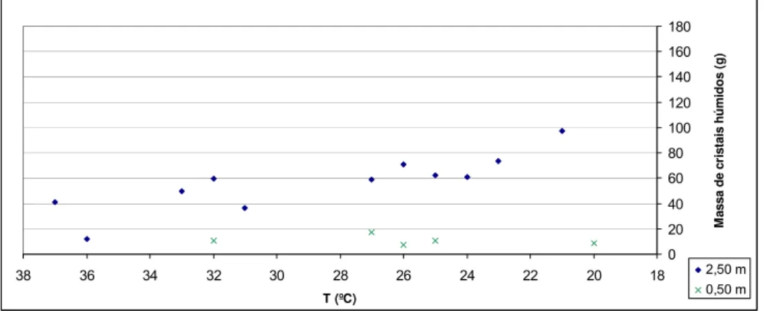 Gráfico 4 – Comparação das massas de cristais húmidos obtidas a 2,50 m e 0,50 m de  altura do liquido do C 901/3 