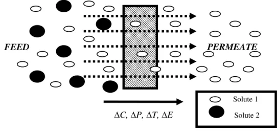 Figure 1.2 - Schematic representation of two phases system separated by a membrane 1 
