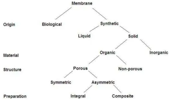 Figure 1.4 - Classification of membranes 13 . 