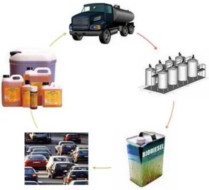 Figure 19: Simple Biodiesel Life Cycle from waste cooking oils. 