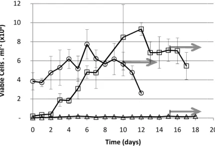 Figure  3.3  –  Effect  of  initia 2×10 4   cells.ml -1   ( ),  2×10 5   c culture in spinner flask with an a change