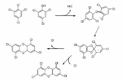 Figura 1-10. Mecanismo de formação de PCDD em cinzas volantes catalisados através de  precursores a partir de fenóis clorado