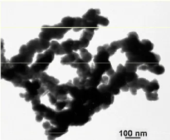Figura 2-1. Imagem das nanopartículas de Fe 0  sintetizadas, obtida através da T.E.M. 