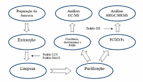 Figura 2-2. Esquema do método conjunto para a análise de PCDD/Fs. 