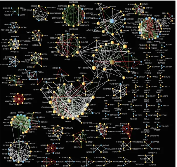 Figure 3. A network of predicted protein complexes containing 543 proteins and 1,893 interactions