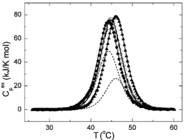 Fig. 7. Temperature-dependence of the excess molar heat capacity of holo-AK (open circles), the Zn 2+ -form of AK (closed circles) and the Co 2+ -form of AK (closed triangles) at pH 10.0